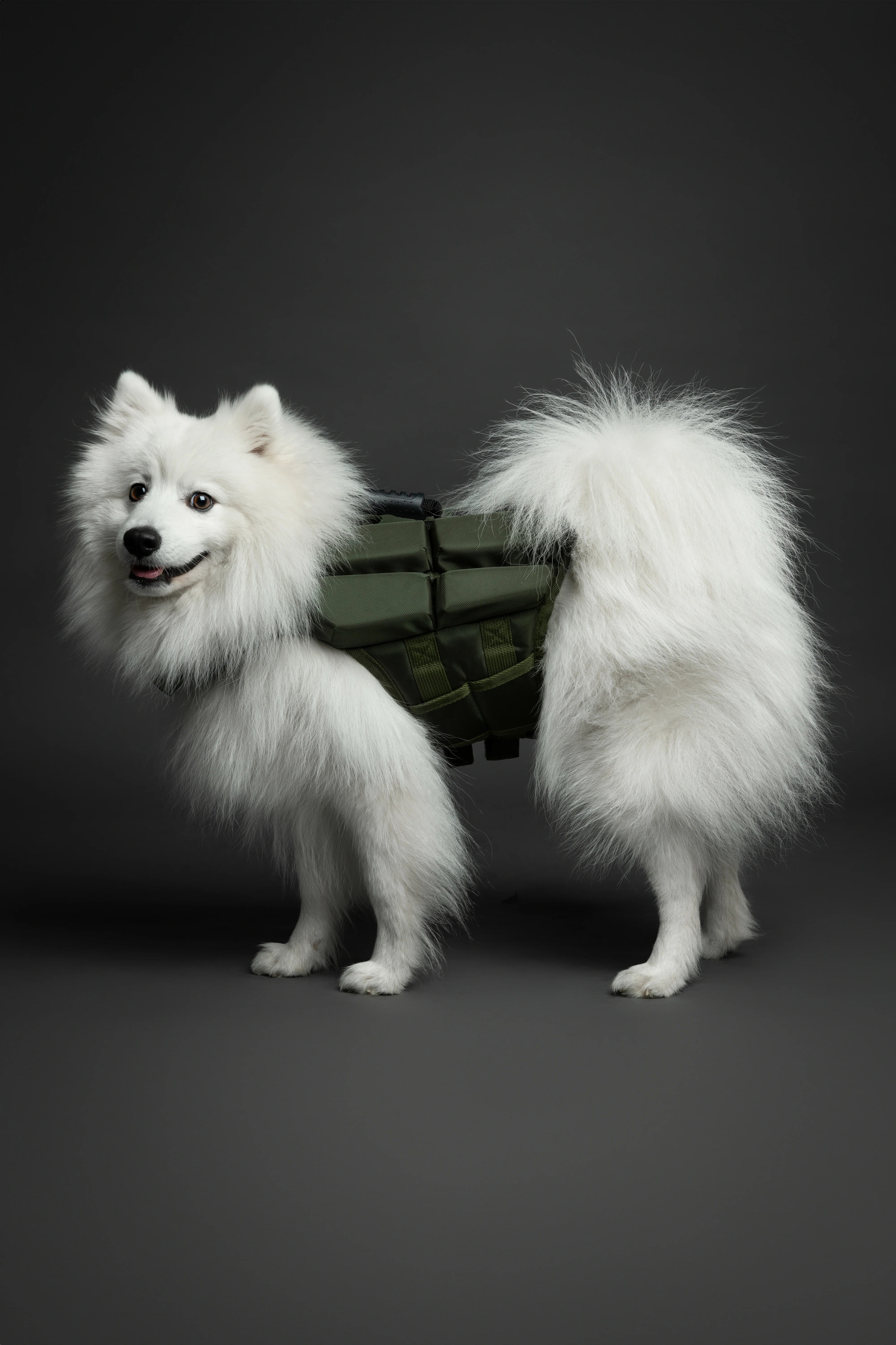 Human Standards Dog Lifejacket Design with 4x Foam for Maximum Buoyancy, Stability & Comfort - Green