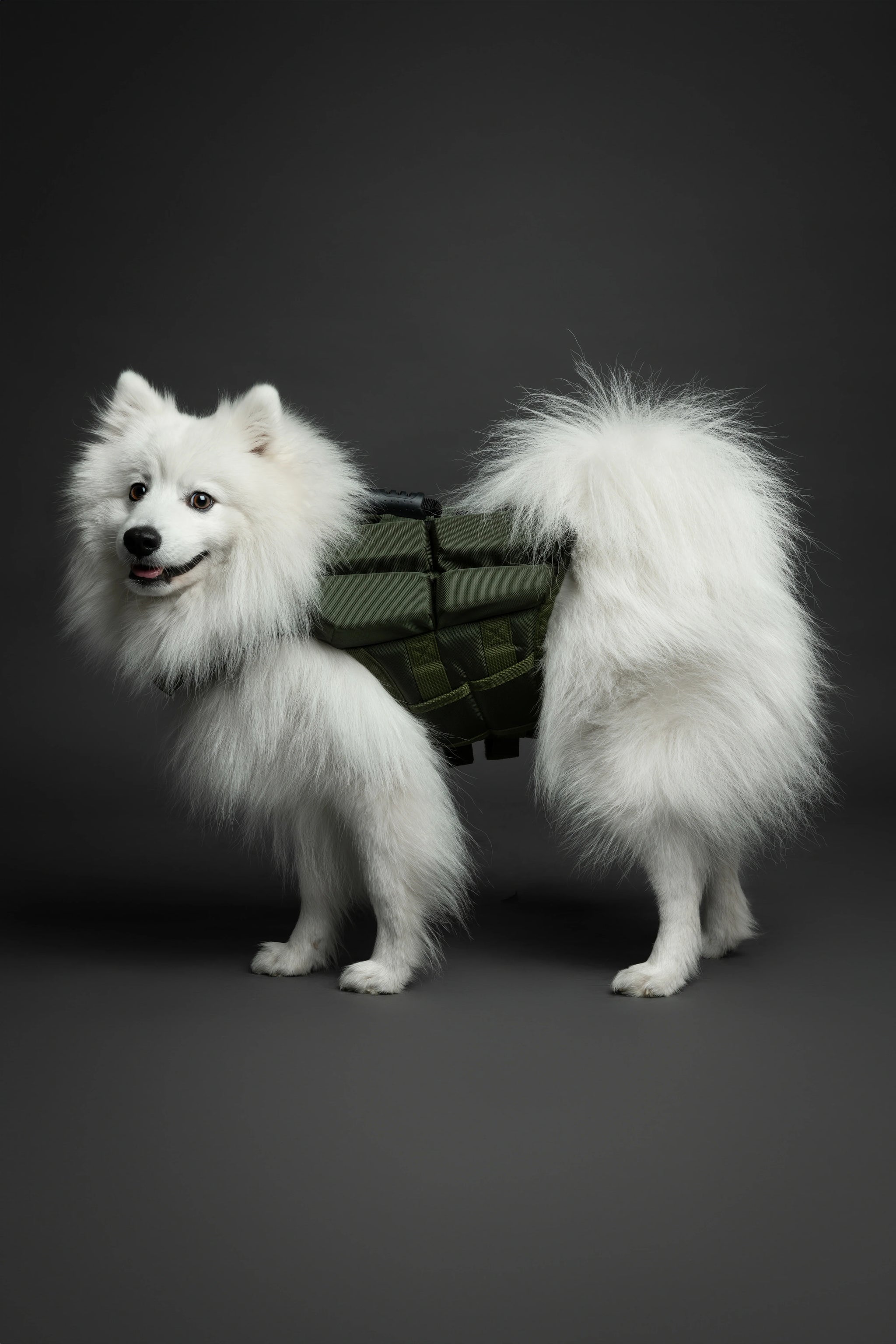 Human Standards Dog Lifejacket Design with 4x Foam for Maximum Buoyancy, Stability & Comfort - Green