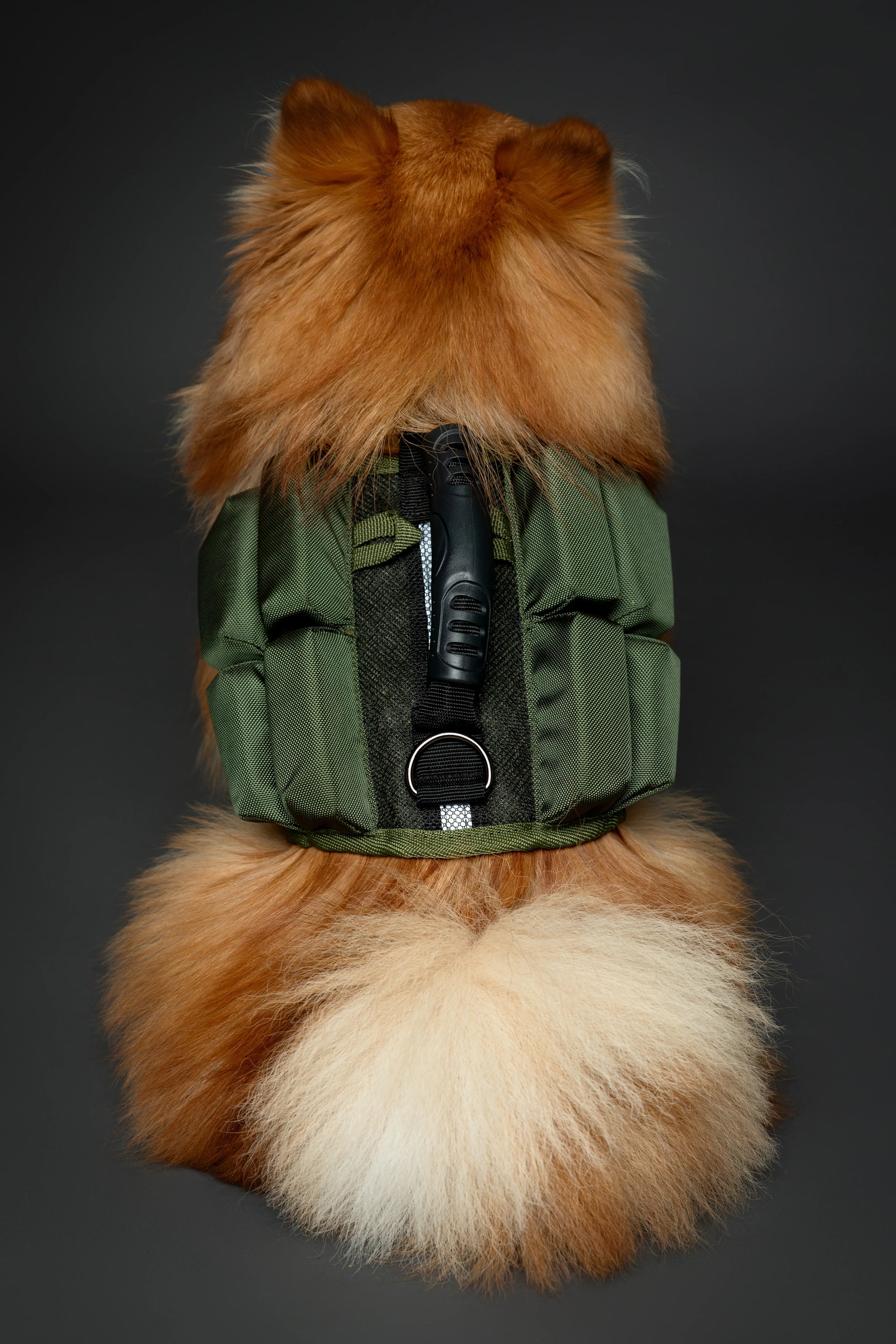 Human Standards Dog Lifejacket Design with 4x Foam for Maximum Buoyancy, Stability & Comfort - Green