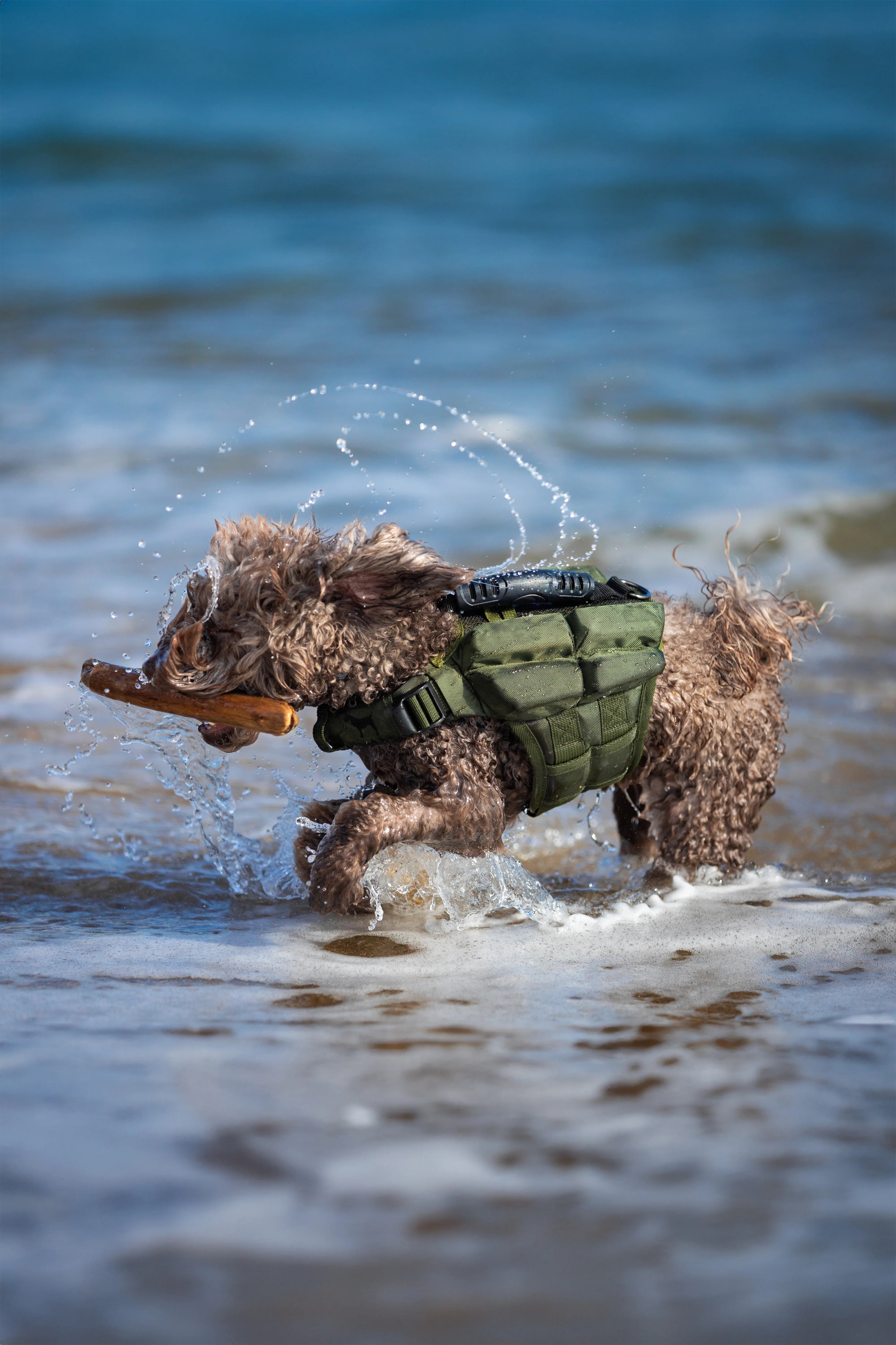 Human Standards Dog Lifejacket Design with 4x Foam for Maximum Buoyancy, Stability & Comfort - Green