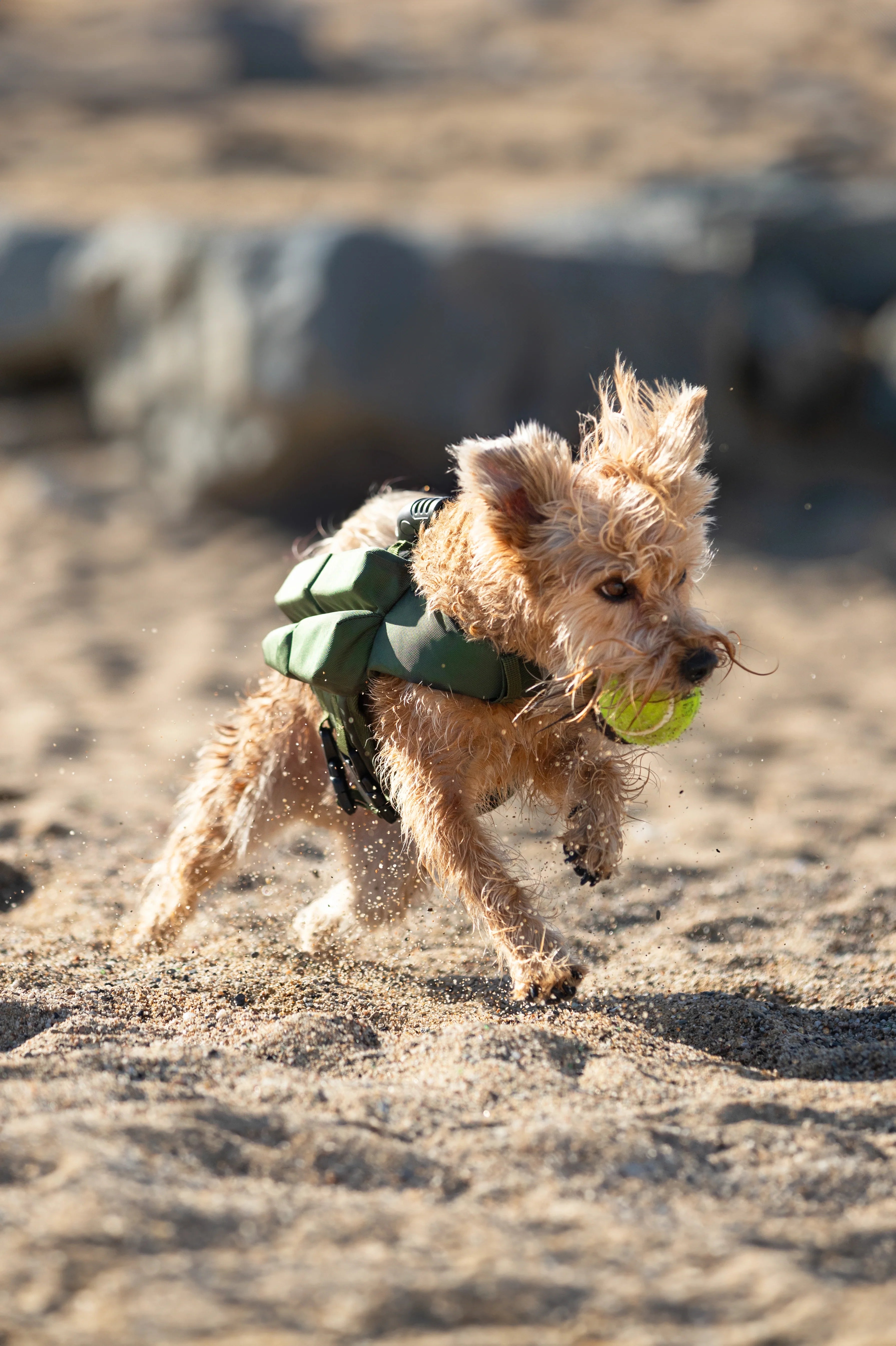 Human Standards Dog Lifejacket Design with 4x Foam for Maximum Buoyancy, Stability & Comfort - Green