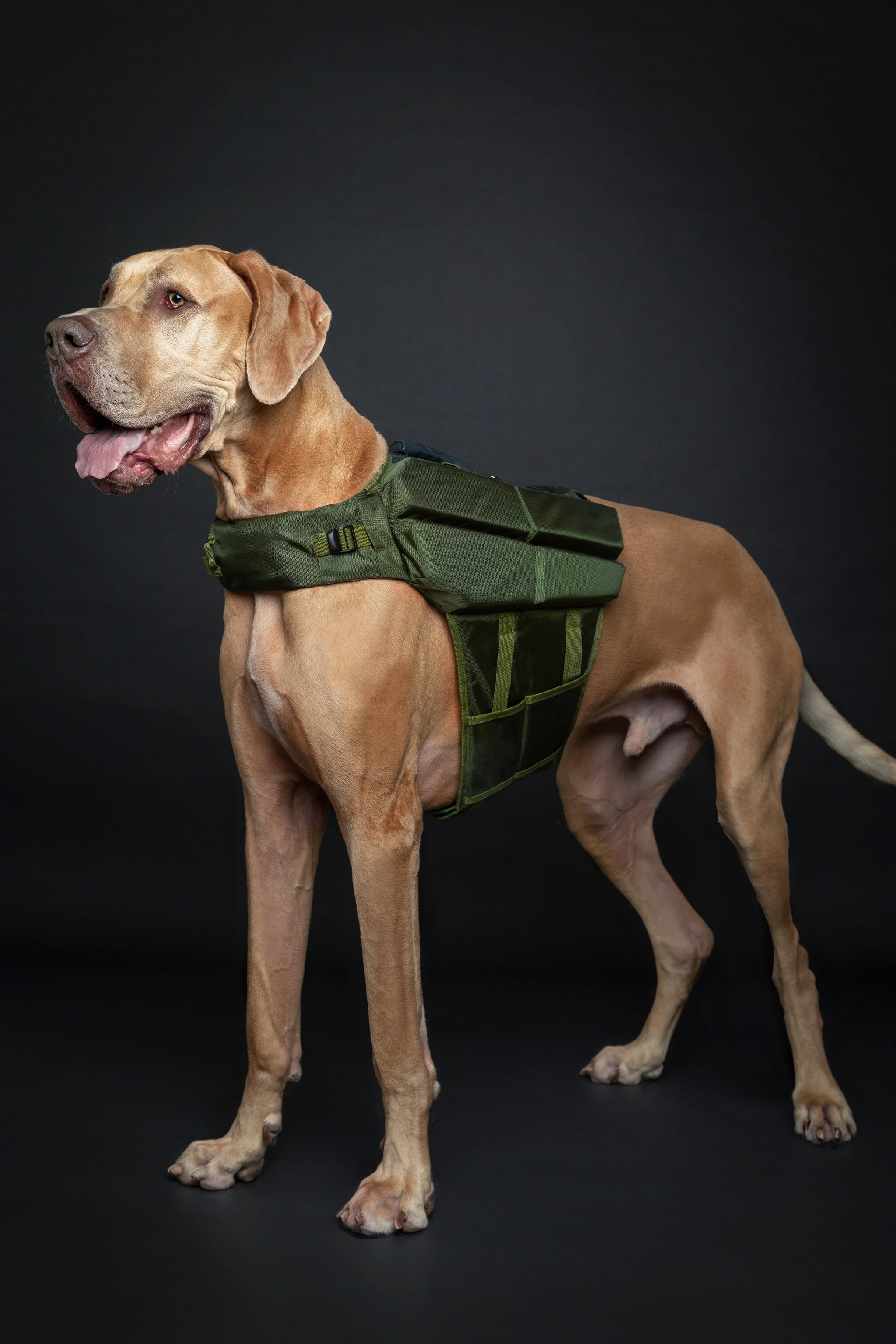 Human Standards Dog Lifejacket Design with 4x Foam for Maximum Buoyancy, Stability & Comfort - Green