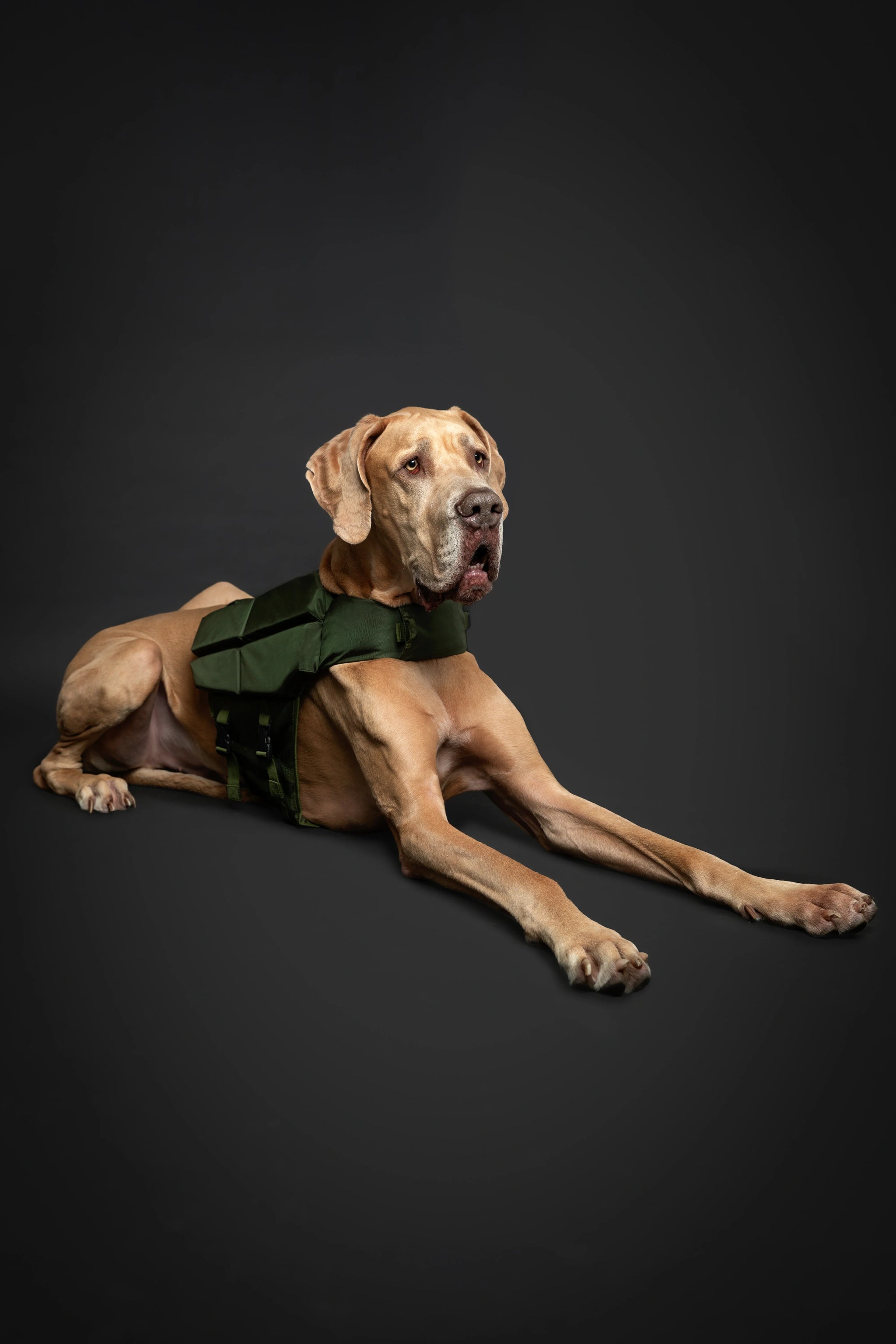 Human Standards Dog Lifejacket Design with 4x Foam for Maximum Buoyancy, Stability & Comfort - Green