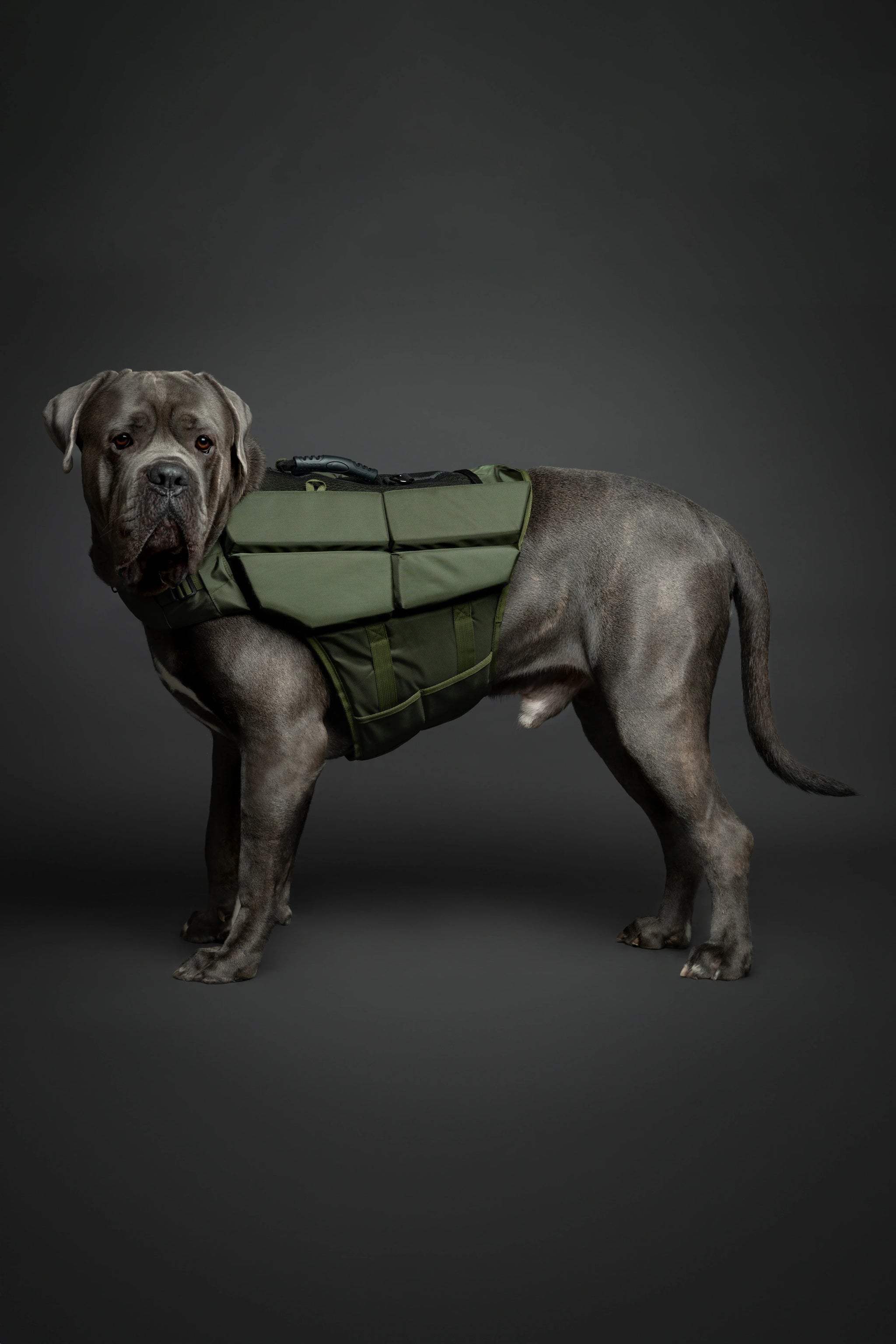 Human Standards Dog Lifejacket Design with 4x Foam for Maximum Buoyancy, Stability & Comfort - Green