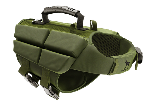 Dog Life Jacket Green x4 cubes foam XS
