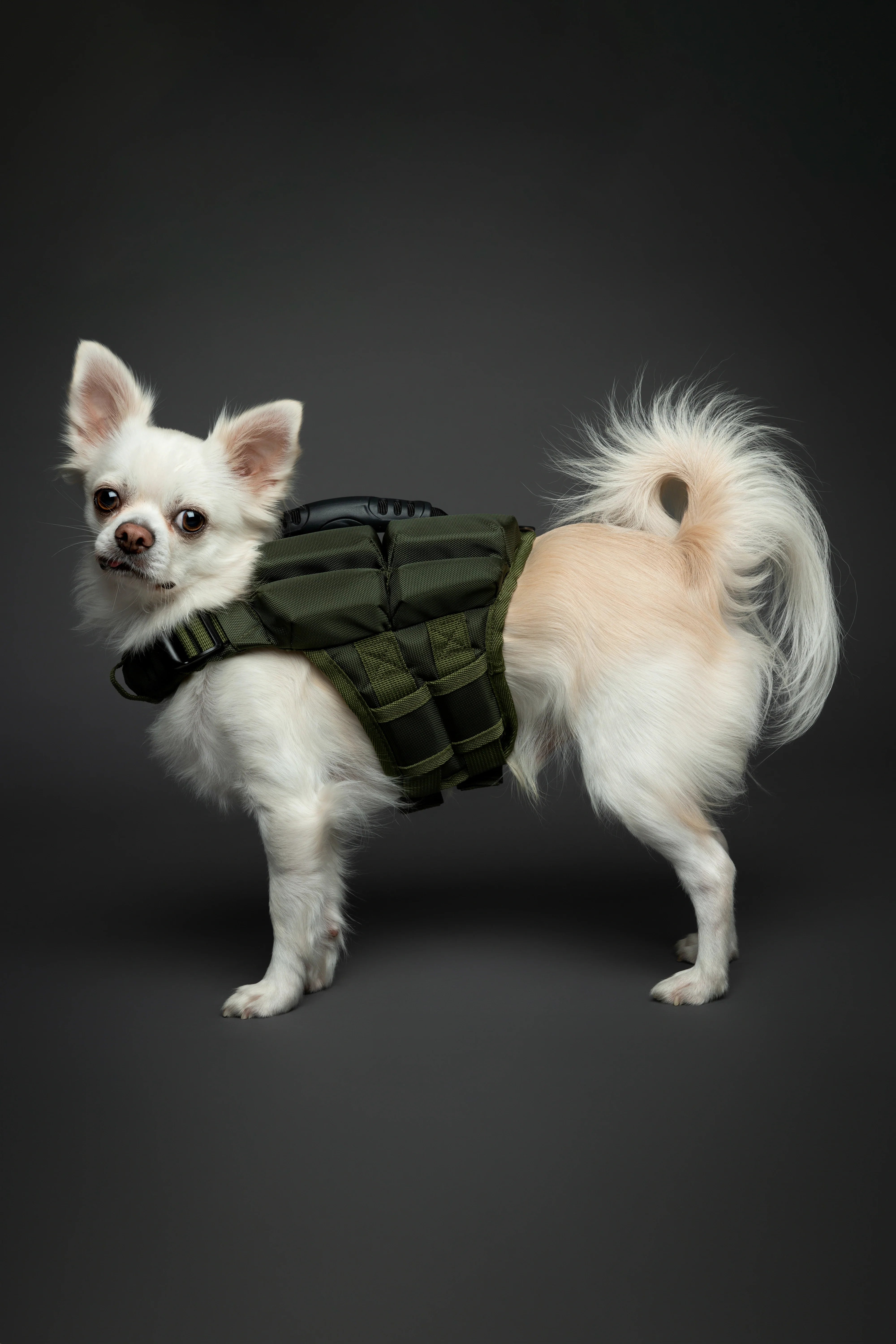 Human Standards Dog Lifejacket Design with 4x Foam for Maximum Buoyancy, Stability & Comfort - Green
