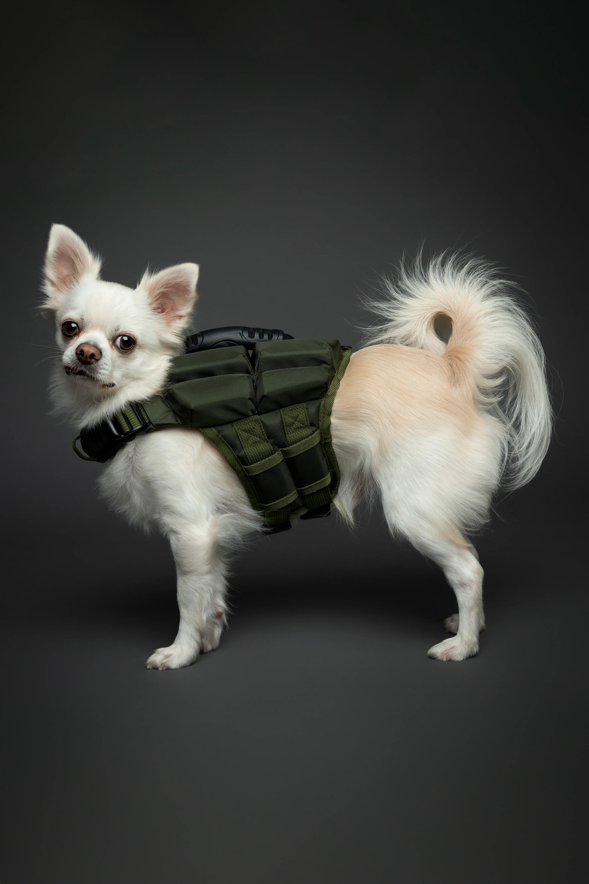 Human Standards Dog Lifejacket Design with 4x Foam for Maximum Buoyancy, Stability & Comfort - Green