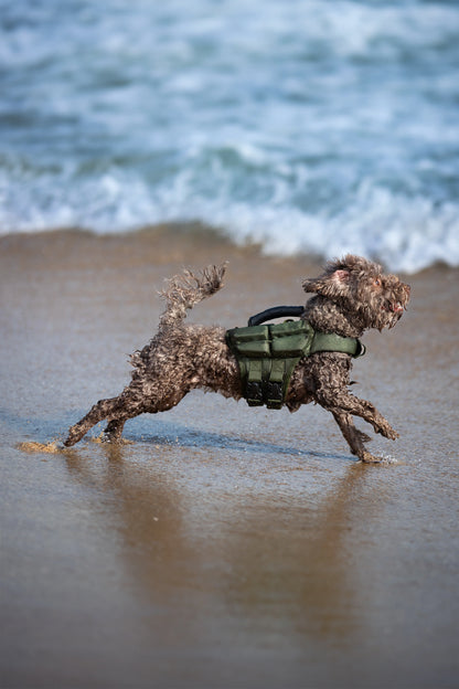 Human Standards Dog Lifejacket Design with 4x Foam for Maximum Buoyancy, Stability & Comfort - Green