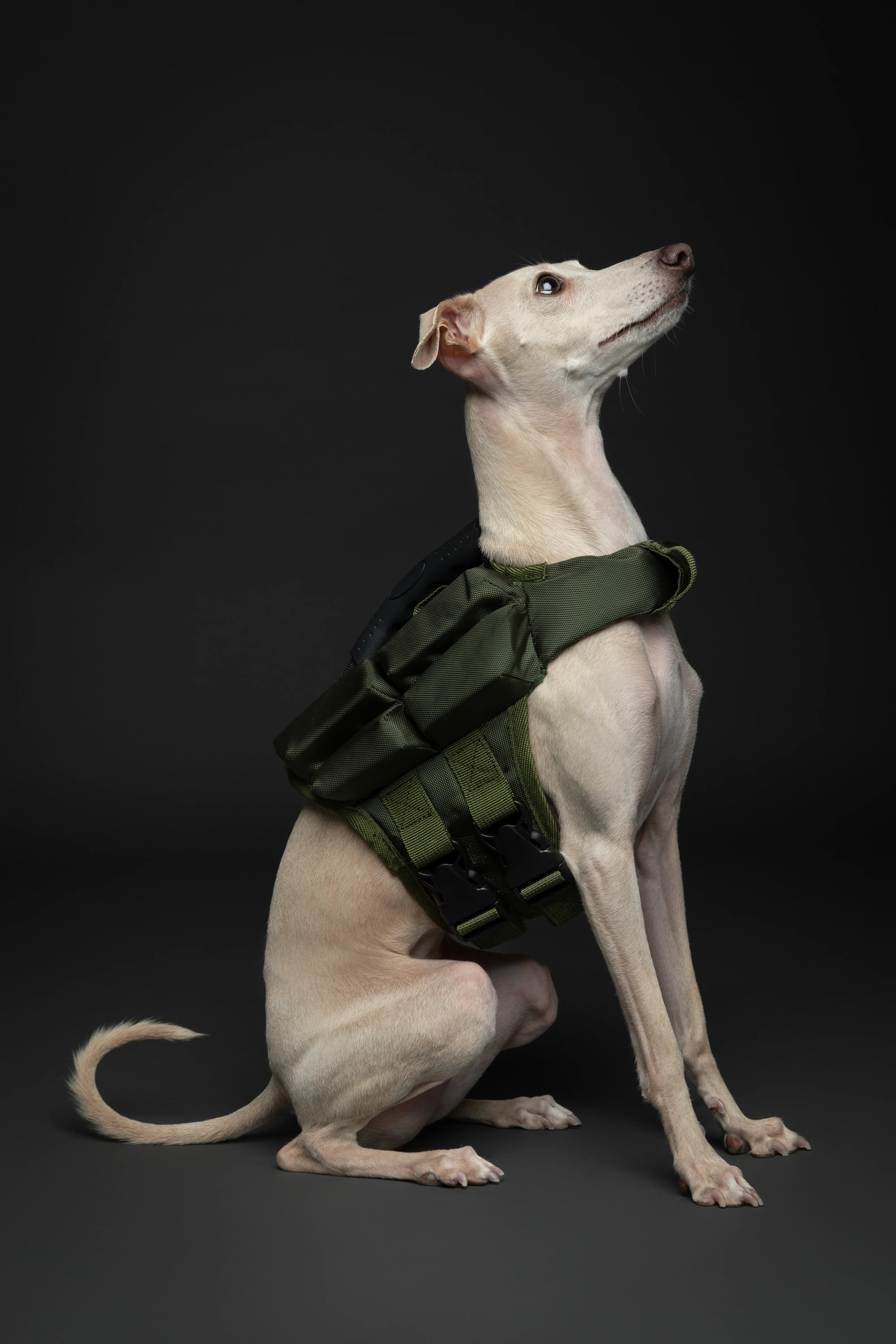 Human Standards Dog Lifejacket Design with 4x Foam for Maximum Buoyancy, Stability & Comfort - Green