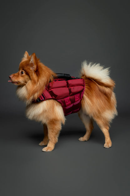 Human Standards Dog Lifejacket Design with 4x Foam for Maximum Buoyancy, Stability & Comfort - Red
