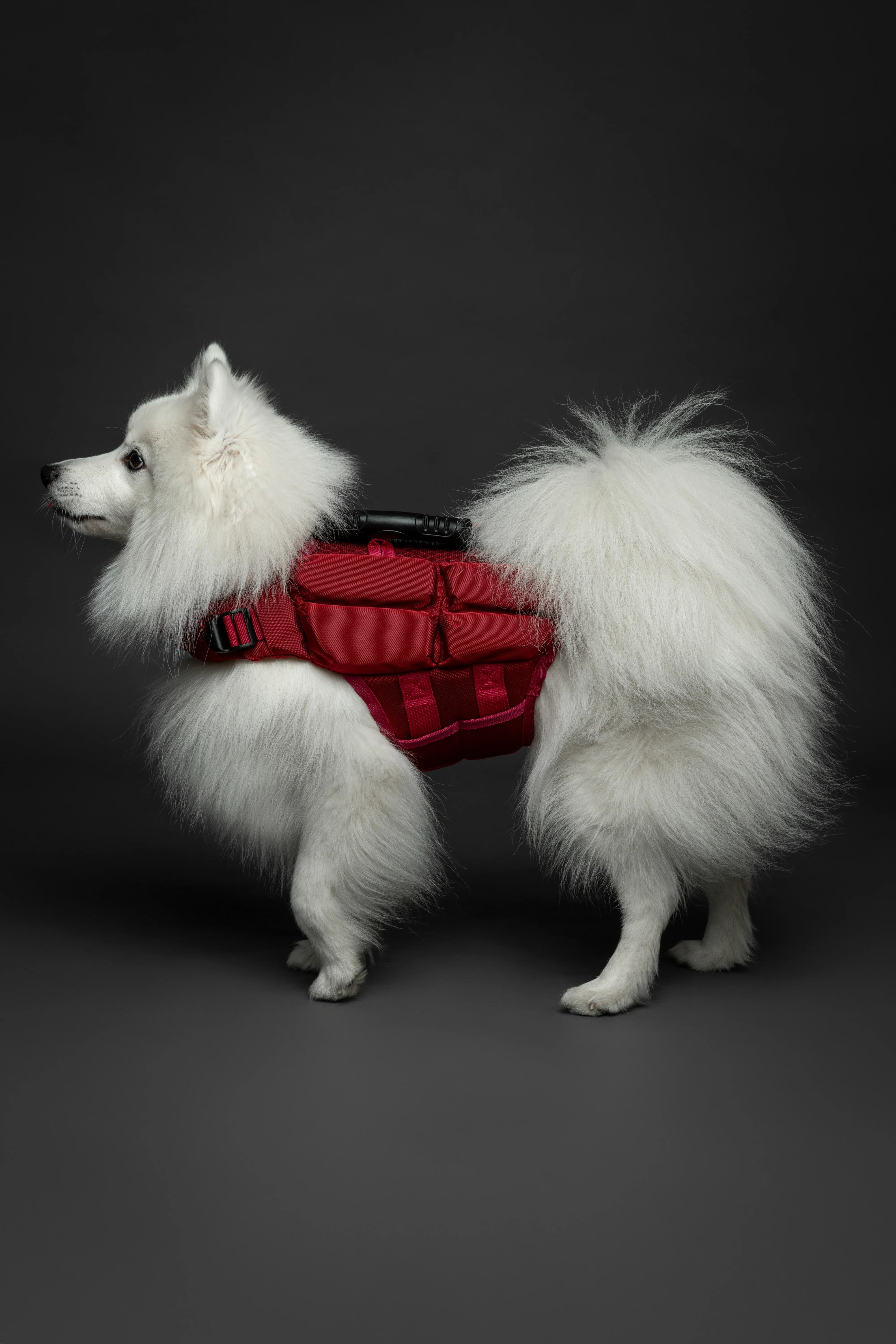 Human Standards Dog Lifejacket Design with 4x Foam for Maximum Buoyancy, Stability & Comfort - Red