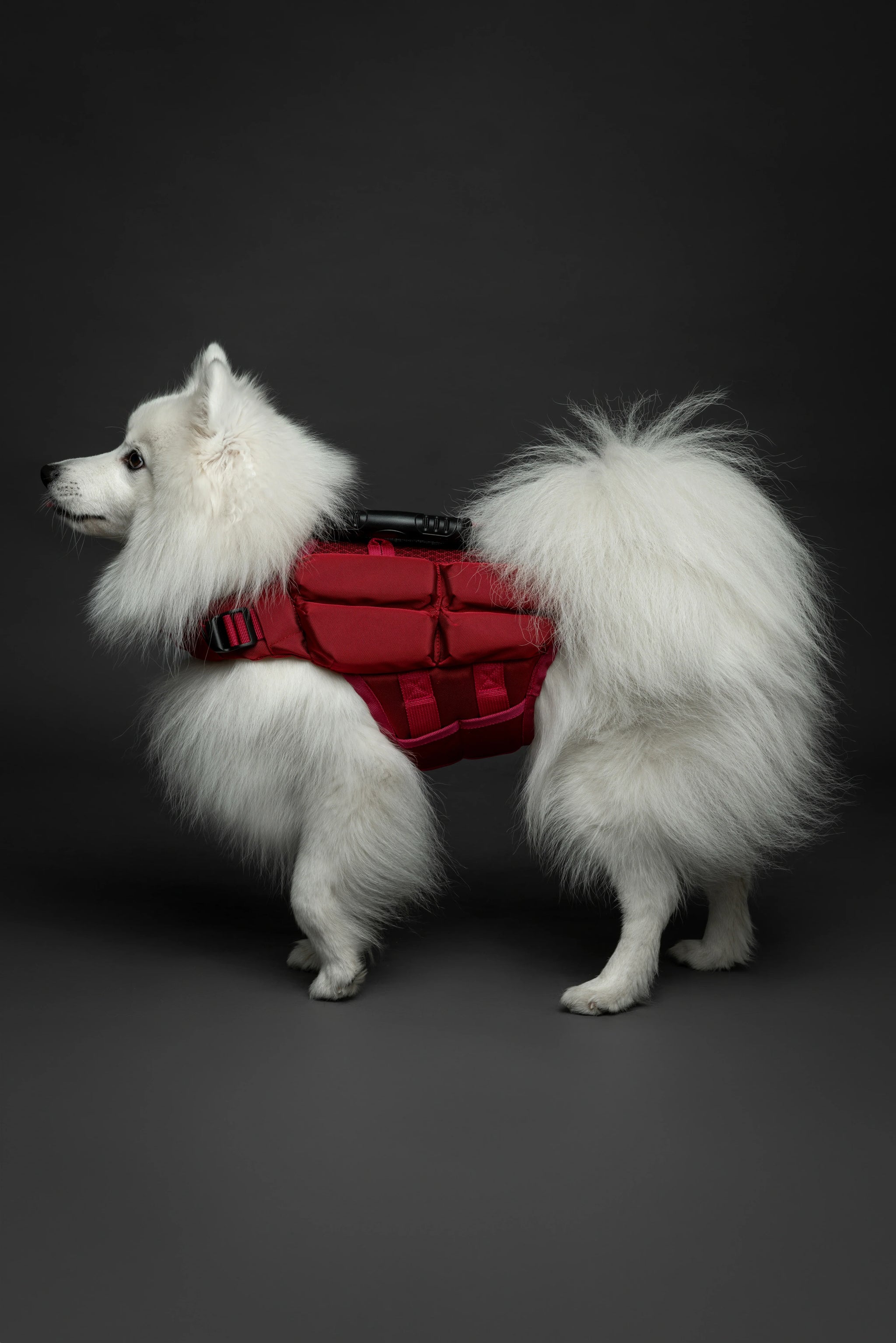 Human Standards Dog Lifejacket Design with 4x Foam for Maximum Buoyancy, Stability & Comfort - Red
