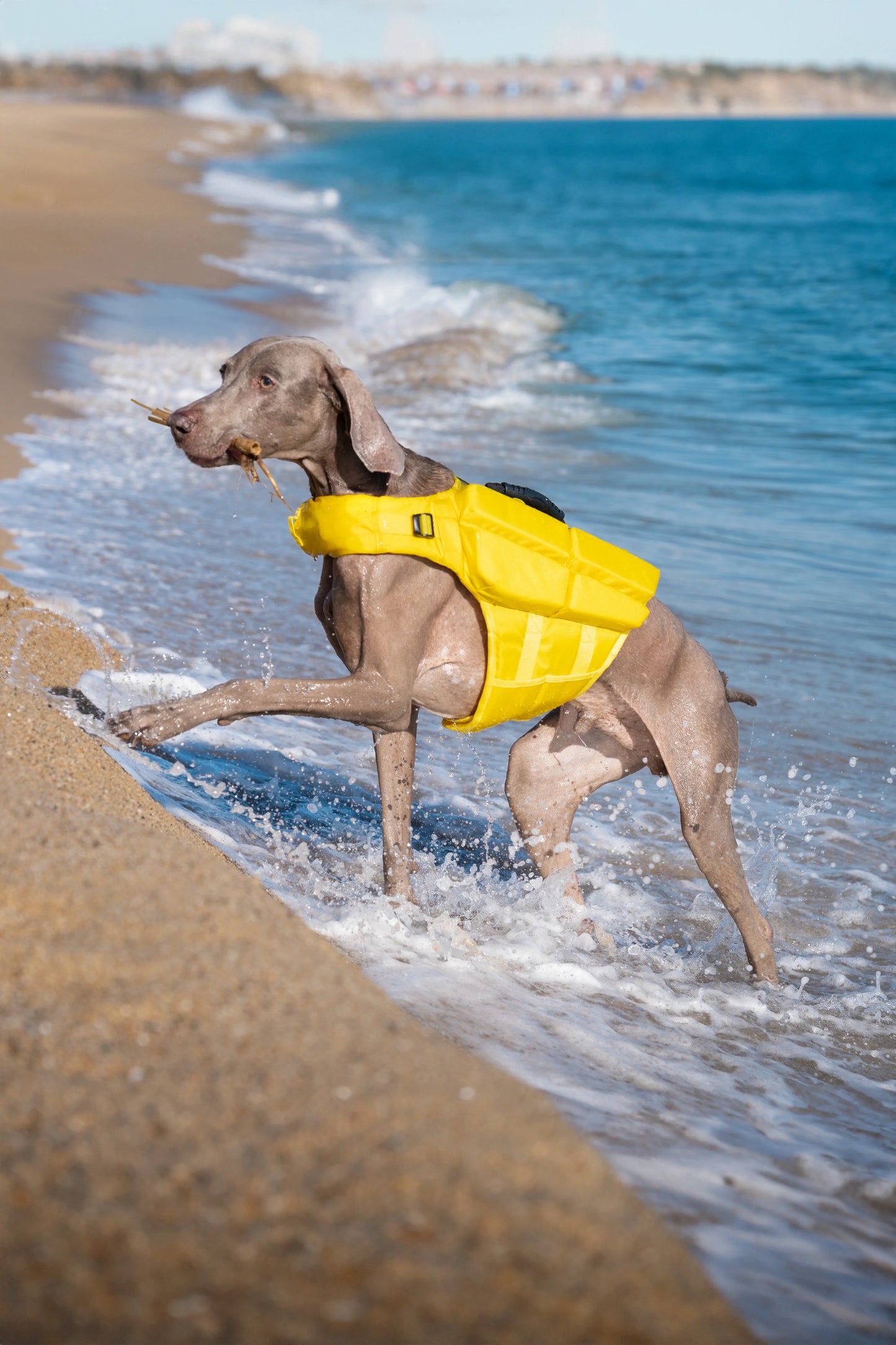 Human Standards Dog Lifejacket Design with 4x Foam for Maximum Buoyancy, Stability & Comfort - Yellow