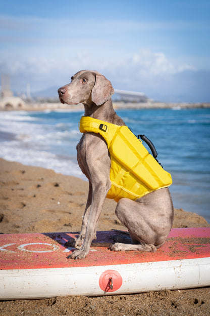 Human Standards Dog Lifejacket Design with 4x Foam for Maximum Buoyancy, Stability & Comfort - Yellow