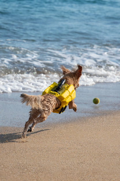 Human Standards Dog Lifejacket Design with 4x Foam for Maximum Buoyancy, Stability & Comfort - Yellow