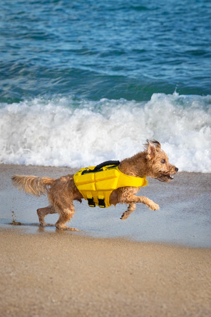 Human Standards Dog Lifejacket Design with 4x Foam for Maximum Buoyancy, Stability & Comfort - Yellow