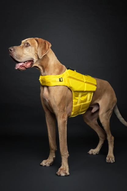 Human Standards Dog Lifejacket Design with 4x Foam for Maximum Buoyancy, Stability & Comfort - Yellow