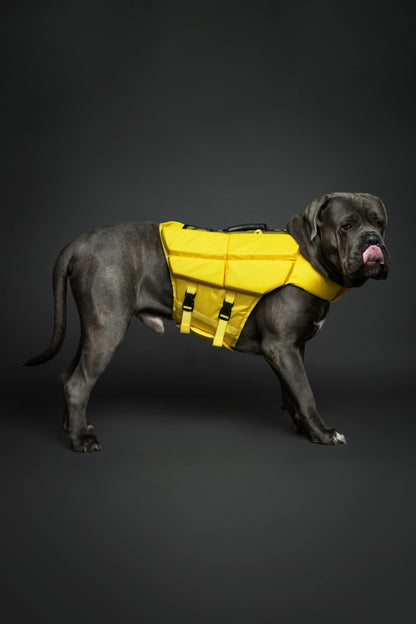 Human Standards Dog Lifejacket Design with 4x Foam for Maximum Buoyancy, Stability & Comfort - Yellow