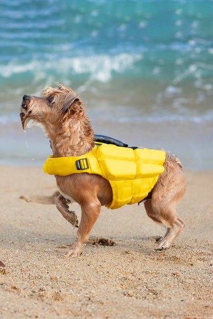 Human Standards Dog Lifejacket Design with 4x Foam for Maximum Buoyancy, Stability & Comfort - Yellow