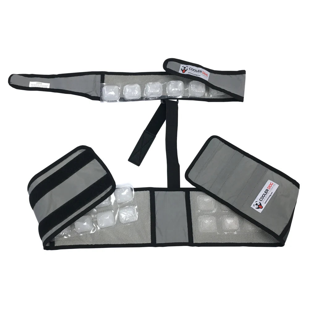 CoolerDog Dog Cooling Vest and Collar