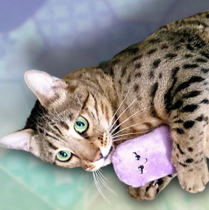 FUR-eeze Pop Twin Pack