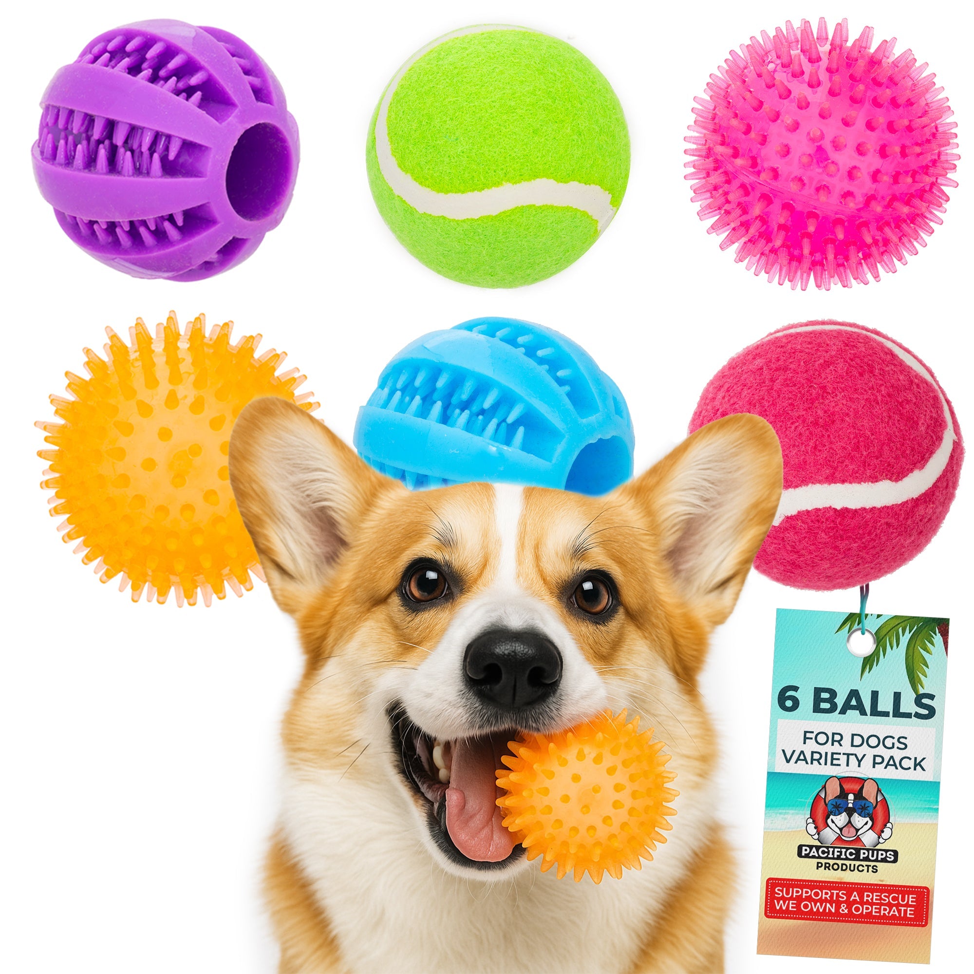 6 Balls Variety Pack
