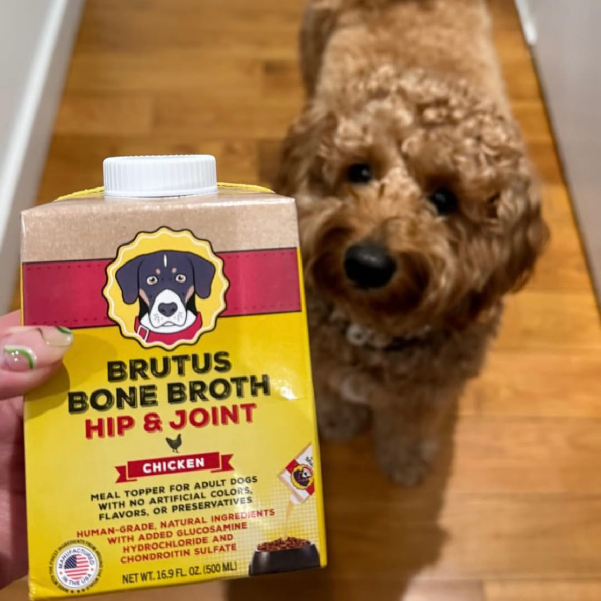 Mini Hip & Joint Formula - Chicken Bone Broth