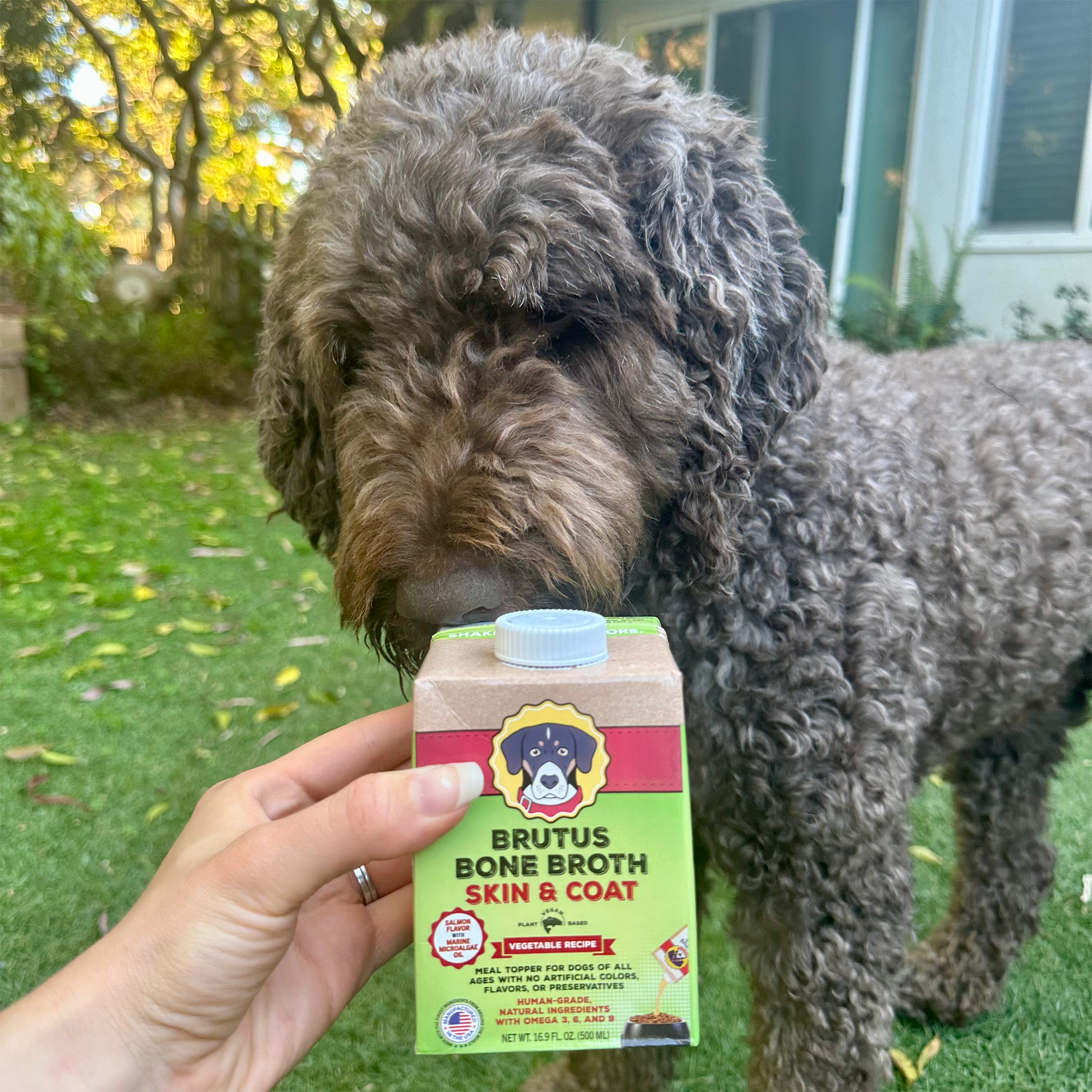 Mini Skin & Coat Formula - Vegetable Broth