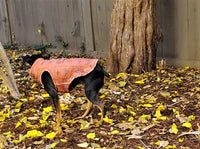 Dog Fleece | Distressed Wild West