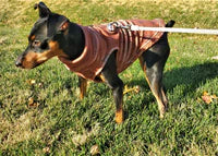 Dog Fleece | Distressed Wild West