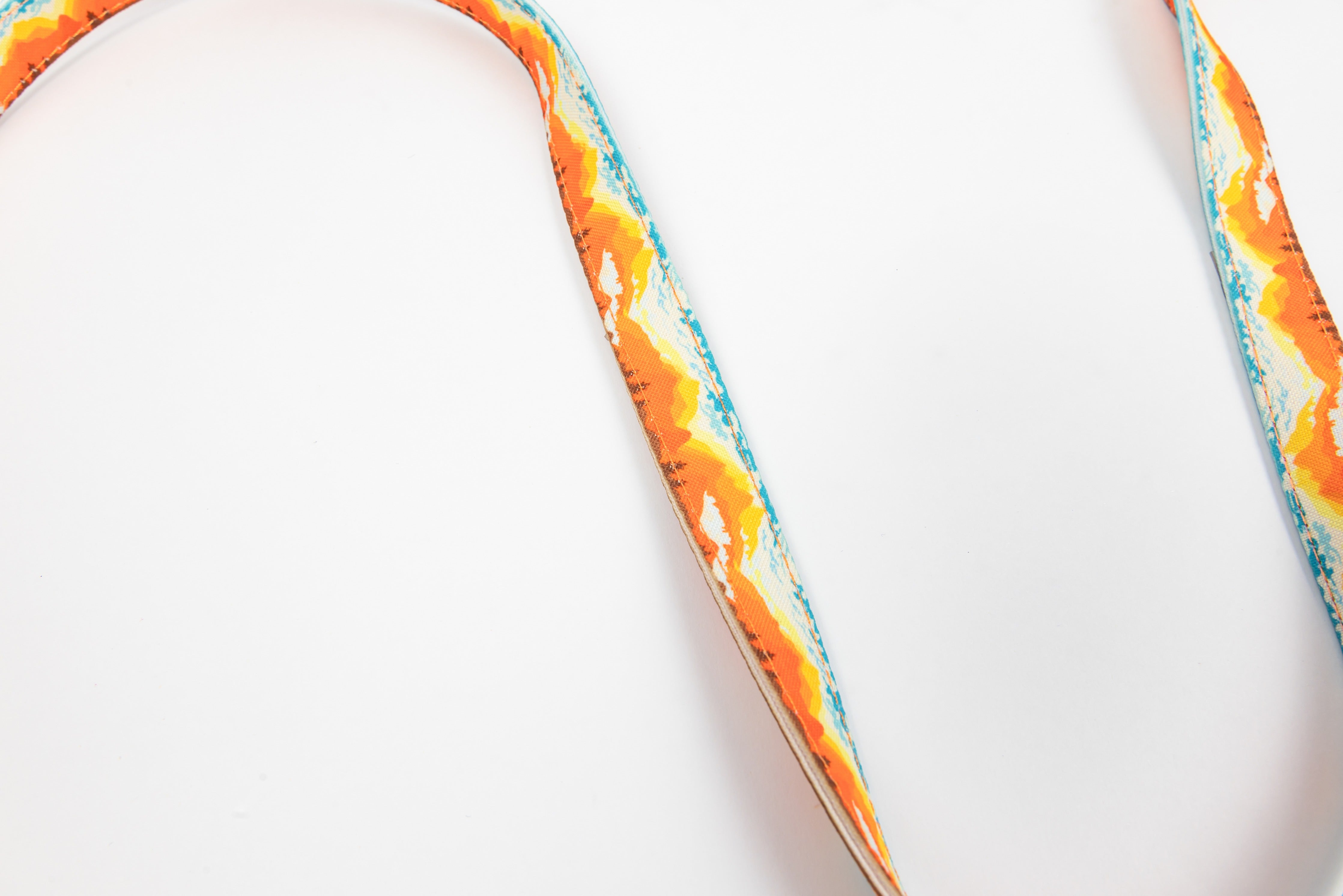 Mountainscape Dog Leash - Orange