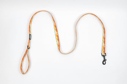 Mountainscape Dog Leash - Orange
