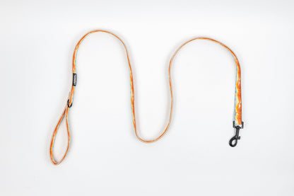 Mountainscape Dog Leash - Orange