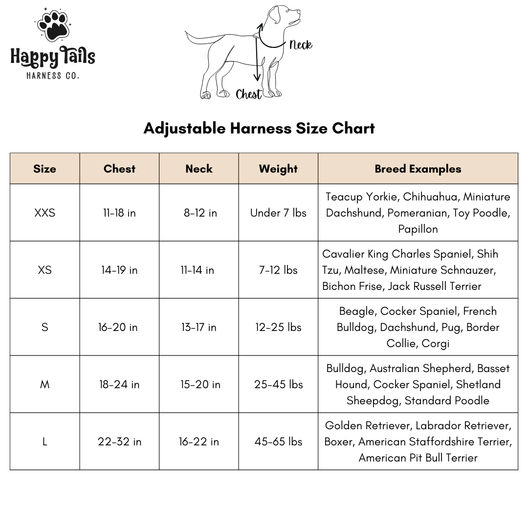 Lavender Fields Walking Set