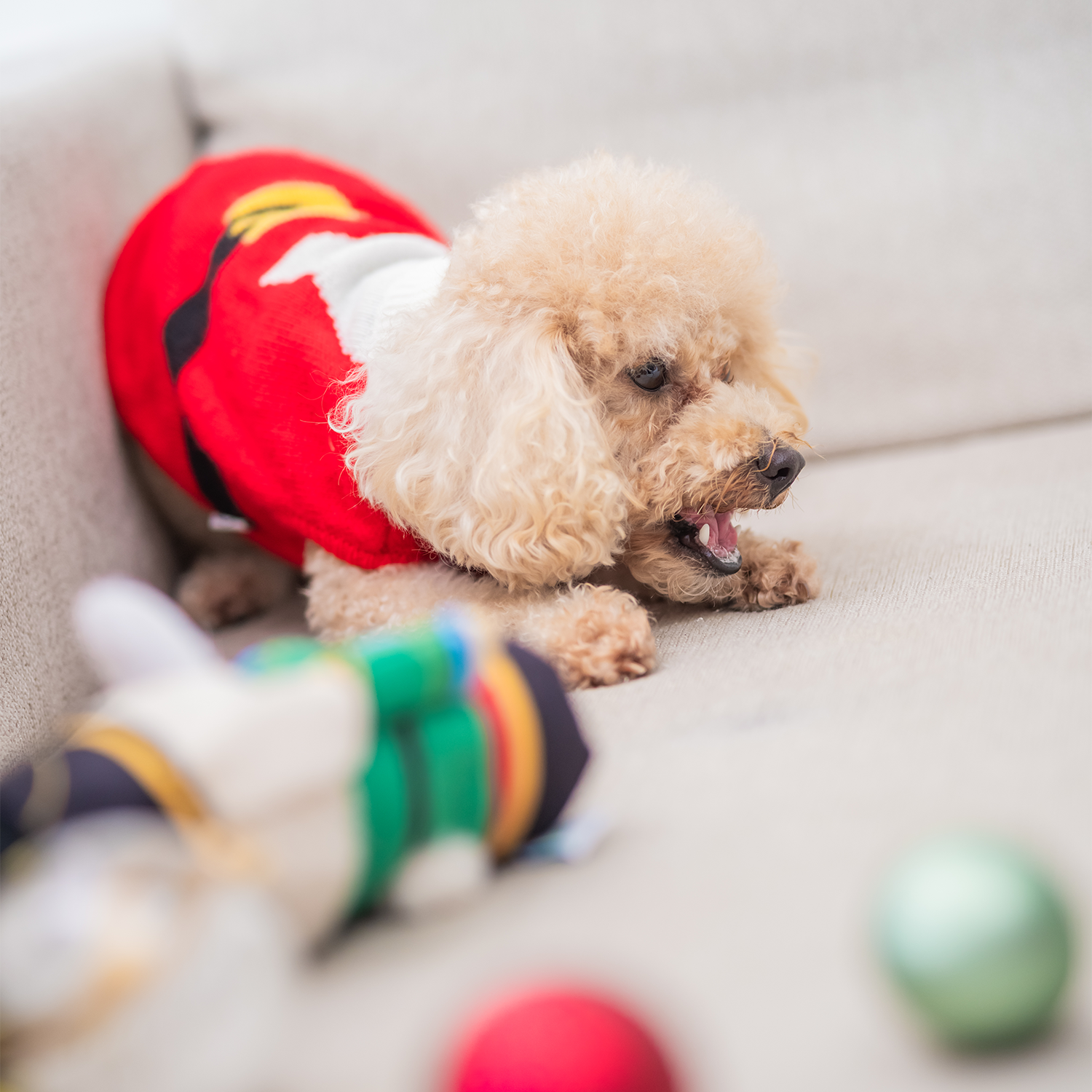 Woof² Nutcracker Treat-Dispensing Pet Toy