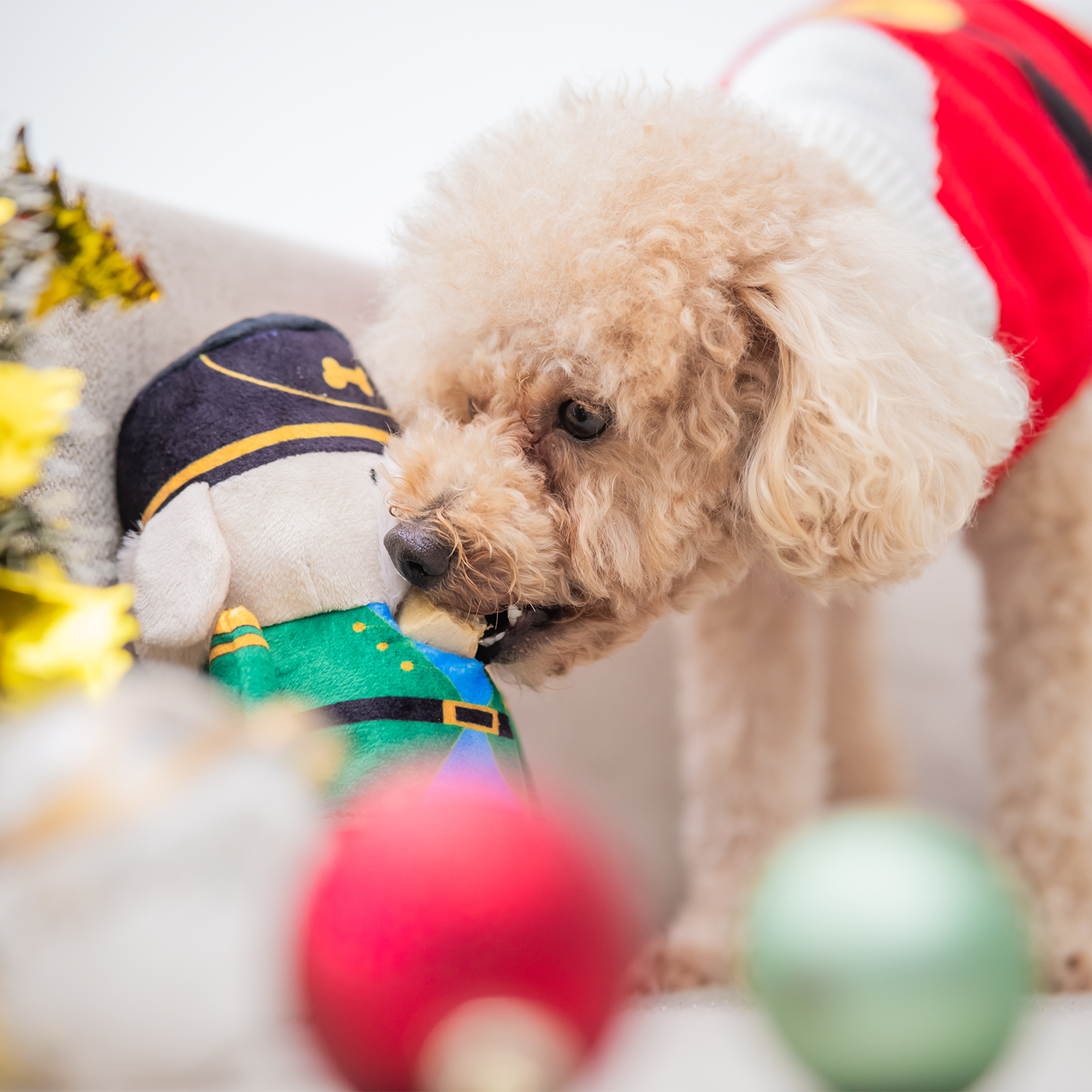 Woof² Nutcracker Treat-Dispensing Pet Toy