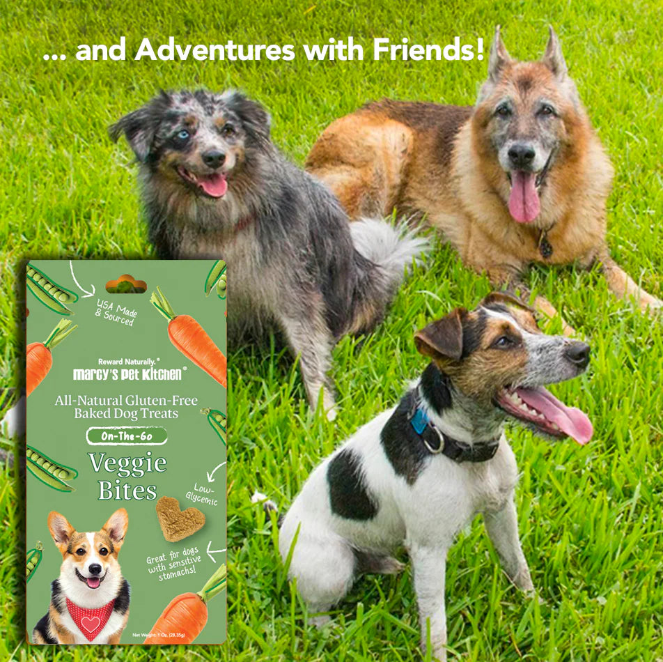 On-The-Go Vegan Veggie Biscuits (3 pack)