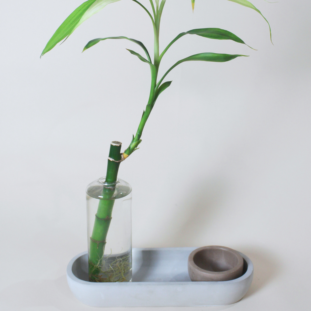 Oblong Catch-all Tray