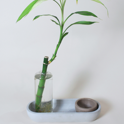 Oblong Catch-all Tray