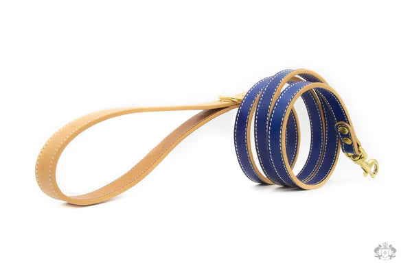 Ocean Blue Leather Dog Lead