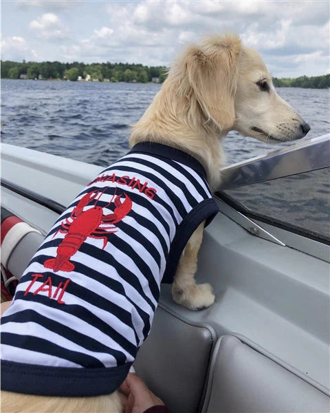 Parisian Pet 'Lobster Chasing Tail' Dog Shirt – Nautical Cotton Pet T-Shirt for Dogs & Cats, Blue & White Stripes
