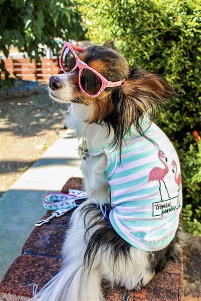 Parisian Pet 'Flamingos' Dog Shirt – Lightweight & Breathable Summer Outfit for Small Dogs & Cats, Light Blue and White Stripes