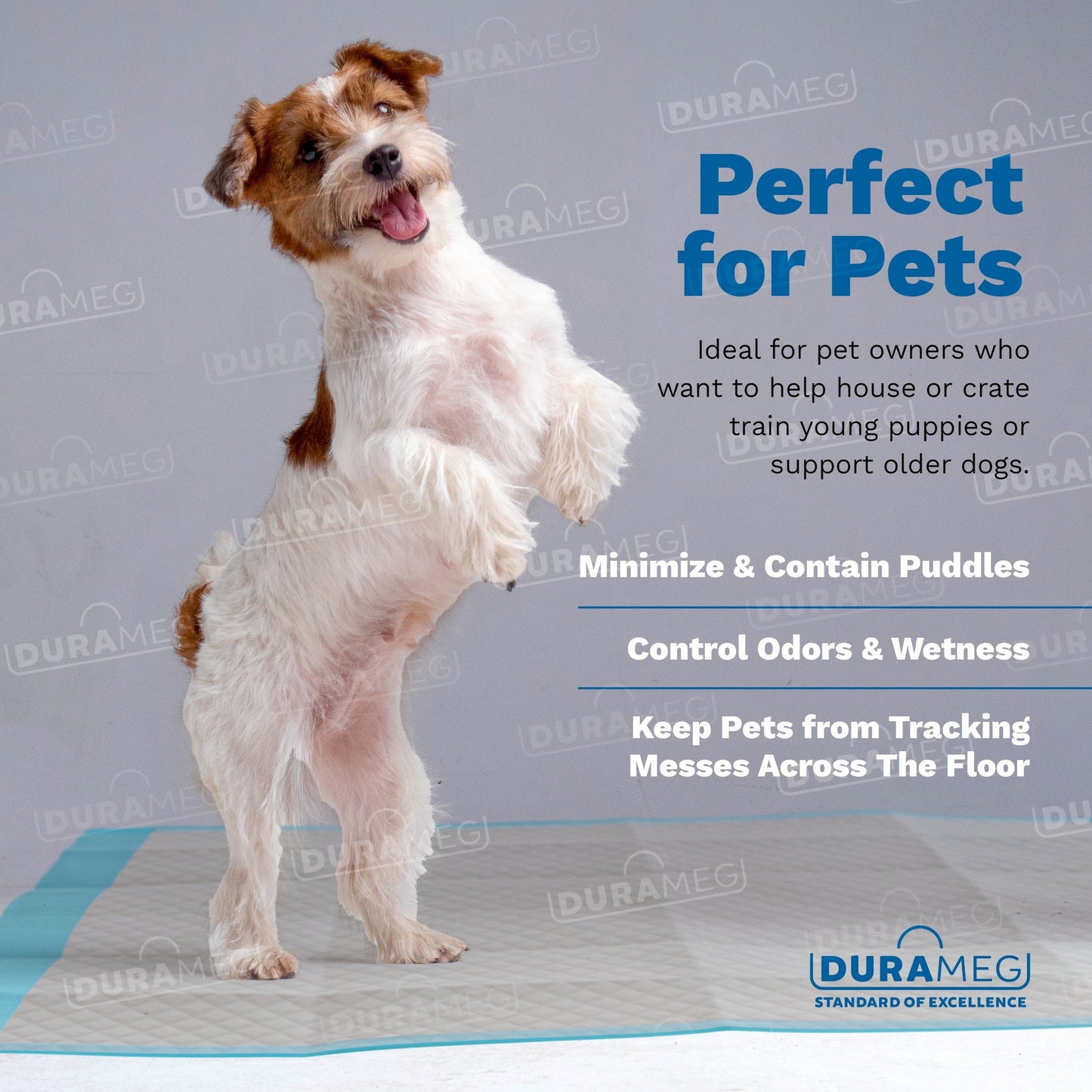 Chucks Pads Disposable Underpads | 23"x36" Incontinence Chux Pads 5g SAP [120-Pads: 4 Pack of 30]