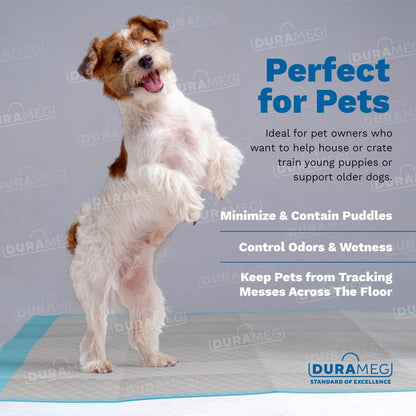 Chucks Pads Disposable Underpads | 23"x36" Incontinence Chux Pads 5g SAP [120-Pads: 4 Pack of 30]