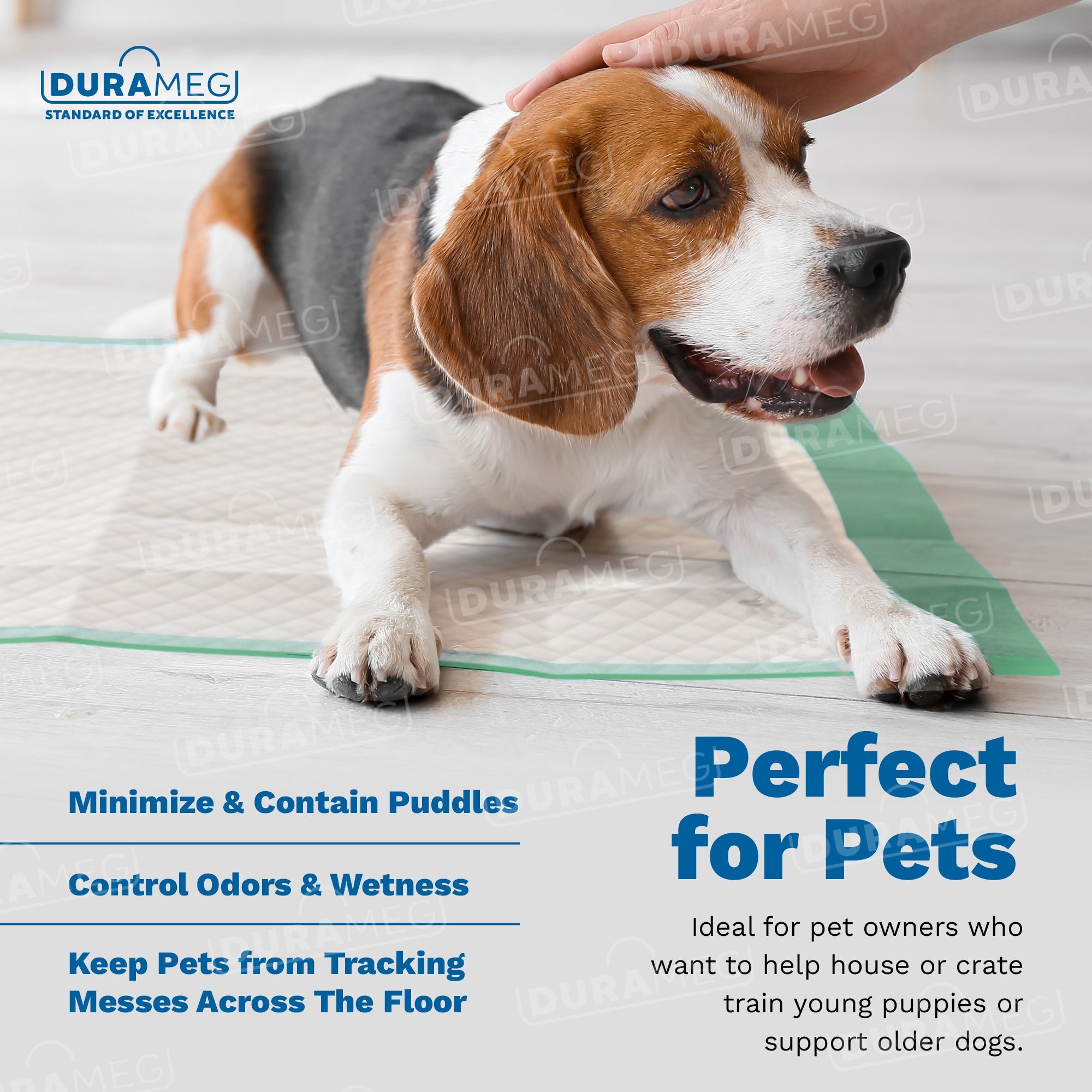 Chucks Pads Disposable Underpads | 36
