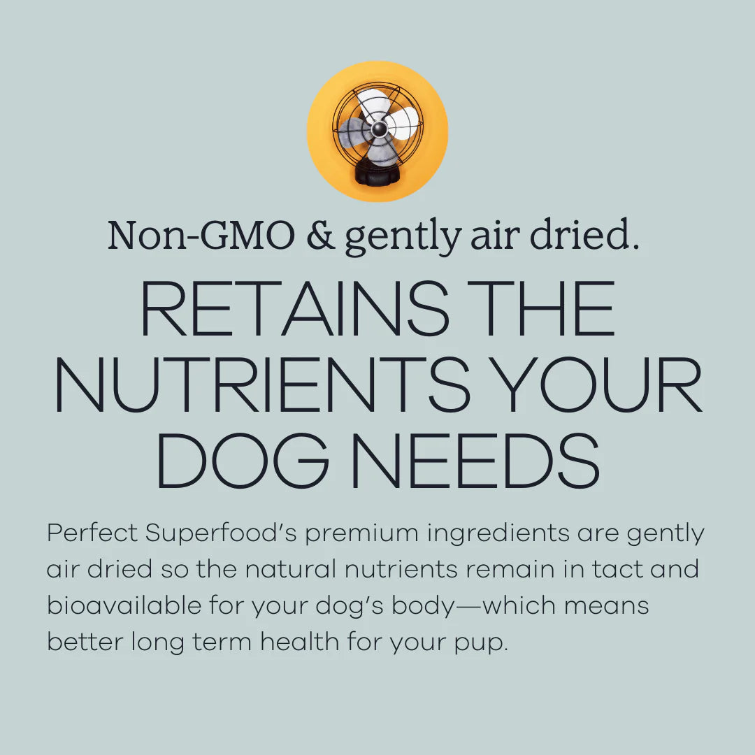 Perfect Superfood Hypoallergenic Air-Dried Dog Food - Low Fat Turkey