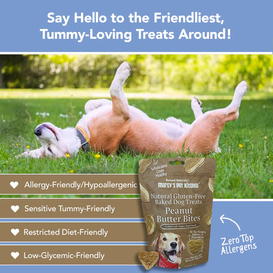 On-The-Go Peanut Butter Bites (3 pack)