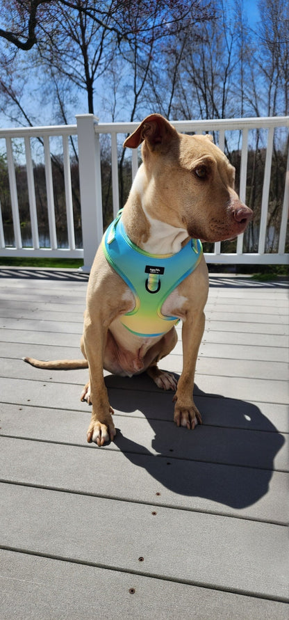 Pastel Breeze Adjustable Harness
