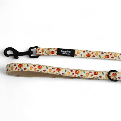 Pumpkin Patch Leash