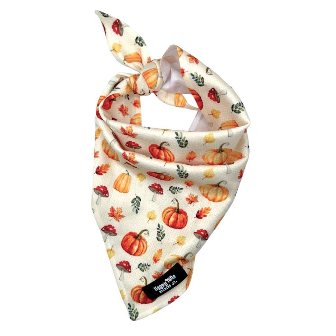Pumpkin Patch Bandana